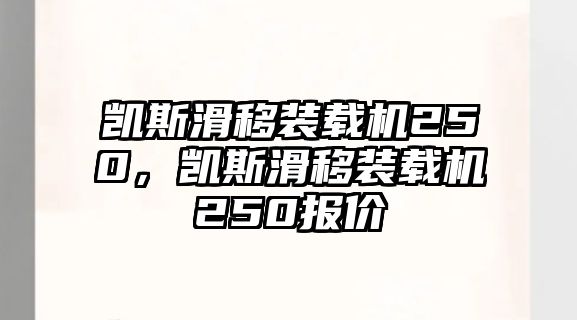 凱斯滑移裝載機250，凱斯滑移裝載機250報價