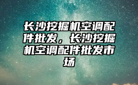 長沙挖掘機(jī)空調(diào)配件批發(fā)，長沙挖掘機(jī)空調(diào)配件批發(fā)市場