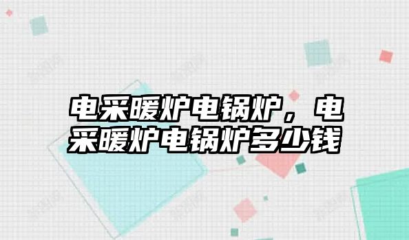 電采暖爐電鍋爐，電采暖爐電鍋爐多少錢