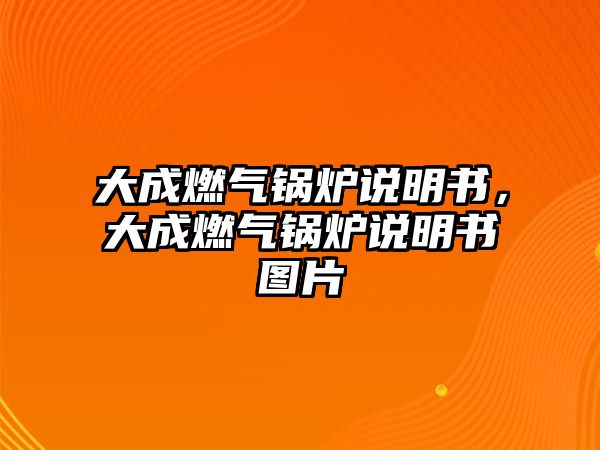 大成燃?xì)忮仩t說明書，大成燃?xì)忮仩t說明書圖片