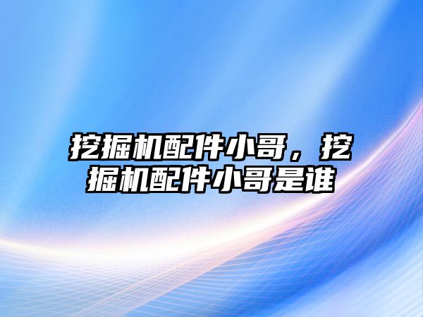 挖掘機配件小哥，挖掘機配件小哥是誰