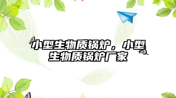 小型生物質(zhì)鍋爐，小型生物質(zhì)鍋爐廠家