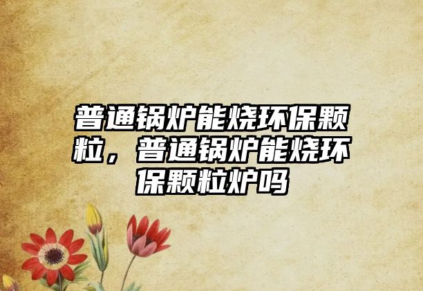 普通鍋爐能燒環(huán)保顆粒，普通鍋爐能燒環(huán)保顆粒爐嗎