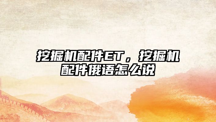 挖掘機配件ET，挖掘機配件俄語怎么說