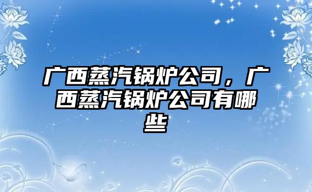 廣西蒸汽鍋爐公司，廣西蒸汽鍋爐公司有哪些