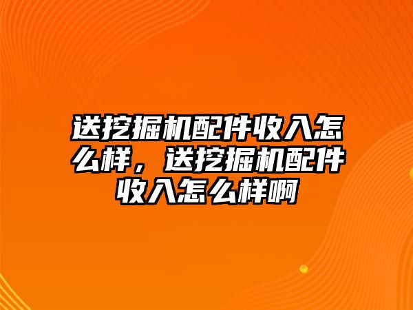 送挖掘機(jī)配件收入怎么樣，送挖掘機(jī)配件收入怎么樣啊