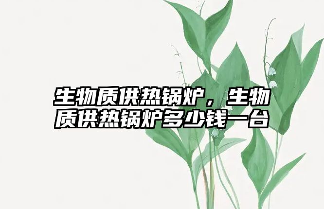 生物質(zhì)供熱鍋爐，生物質(zhì)供熱鍋爐多少錢一臺