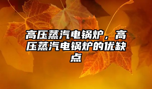 高壓蒸汽電鍋爐，高壓蒸汽電鍋爐的優(yōu)缺點