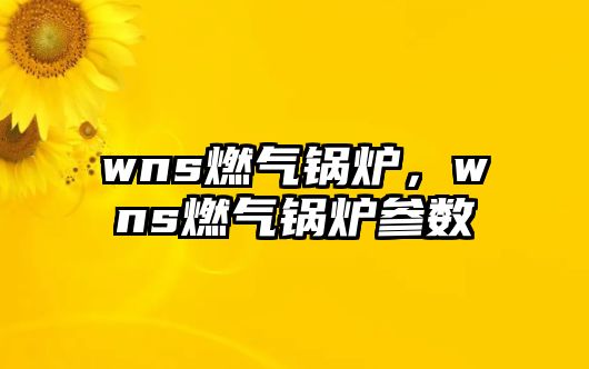 wns燃?xì)忮仩t，wns燃?xì)忮仩t參數(shù)