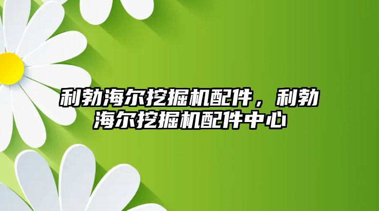 利勃海爾挖掘機配件，利勃海爾挖掘機配件中心