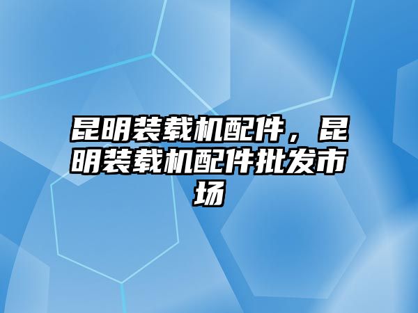 昆明裝載機配件，昆明裝載機配件批發(fā)市場