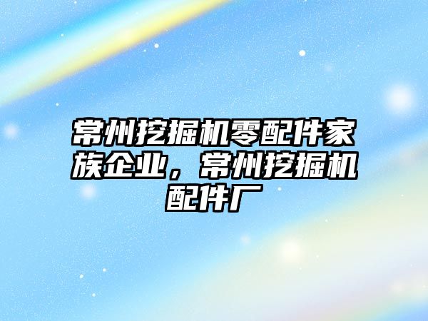 常州挖掘機零配件家族企業(yè)，常州挖掘機配件廠