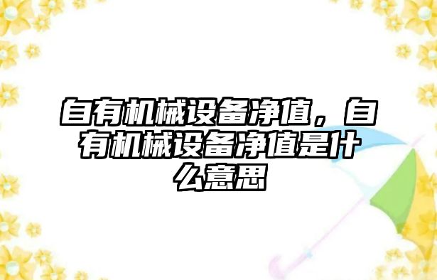 自有機械設備凈值，自有機械設備凈值是什么意思