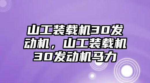 山工裝載機30發(fā)動機，山工裝載機30發(fā)動機馬力