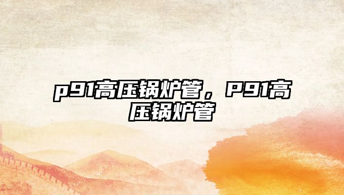 p91高壓鍋爐管，P91高壓鍋爐管