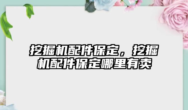 挖掘機(jī)配件保定，挖掘機(jī)配件保定哪里有賣