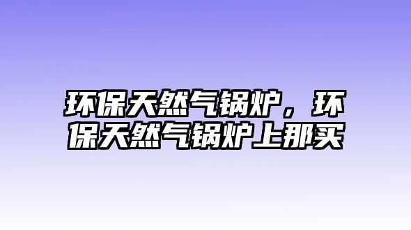 環(huán)保天然氣鍋爐，環(huán)保天然氣鍋爐上那買