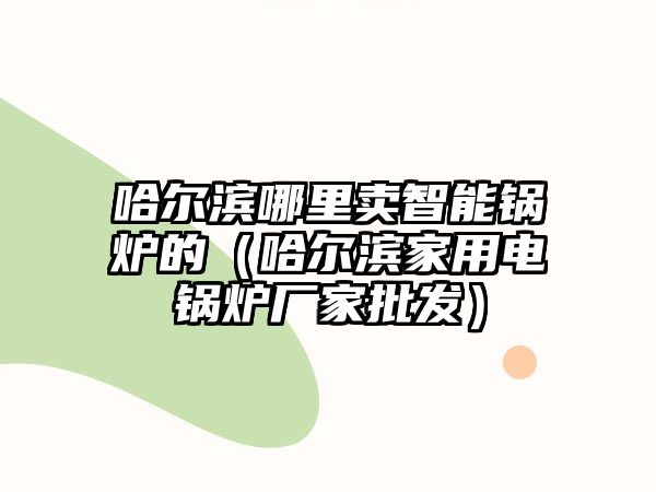 哈爾濱哪里賣(mài)智能鍋爐的（哈爾濱家用電鍋爐廠家批發(fā)）