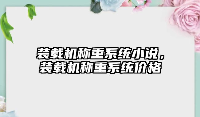 裝載機稱重系統(tǒng)小說，裝載機稱重系統(tǒng)價格