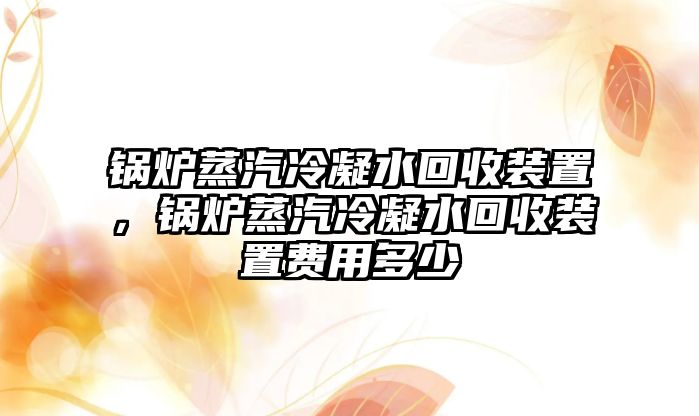 鍋爐蒸汽冷凝水回收裝置，鍋爐蒸汽冷凝水回收裝置費(fèi)用多少