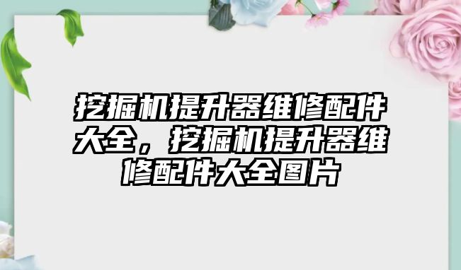 挖掘機提升器維修配件大全，挖掘機提升器維修配件大全圖片