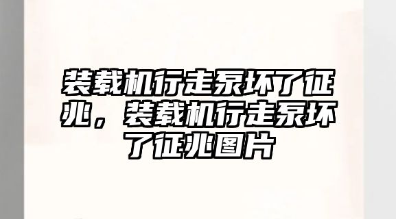 裝載機行走泵壞了征兆，裝載機行走泵壞了征兆圖片