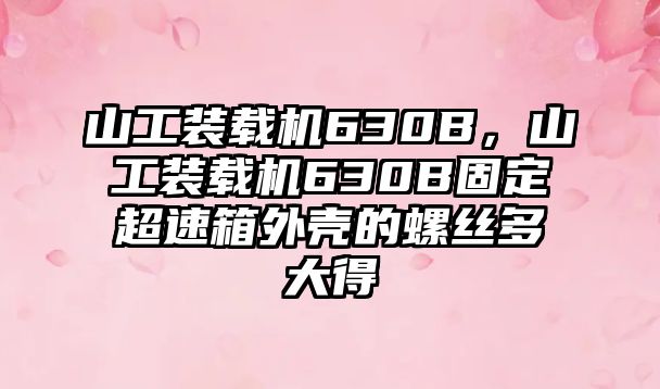 山工裝載機(jī)630B，山工裝載機(jī)630B固定超速箱外殼的螺絲多大得