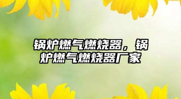 鍋爐燃?xì)馊紵?，鍋爐燃?xì)馊紵鲝S(chǎng)家