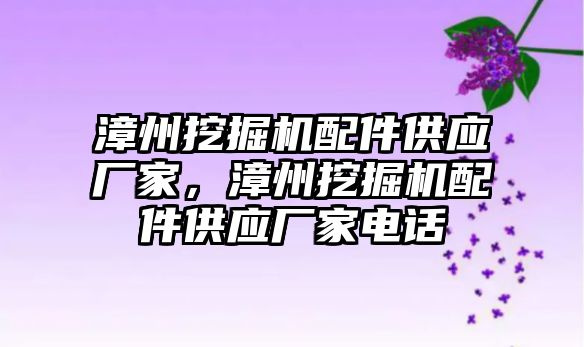 漳州挖掘機配件供應廠家，漳州挖掘機配件供應廠家電話