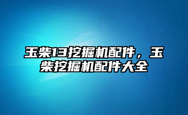 玉柴13挖掘機(jī)配件，玉柴挖掘機(jī)配件大全