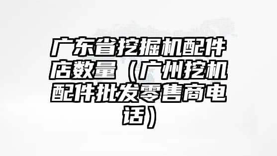 廣東省挖掘機配件店數(shù)量（廣州挖機配件批發(fā)零售商電話）