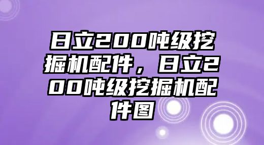 日立200噸級(jí)挖掘機(jī)配件，日立200噸級(jí)挖掘機(jī)配件圖