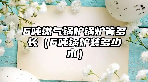 6噸燃?xì)忮仩t鍋爐管多長（6噸鍋爐裝多少水）