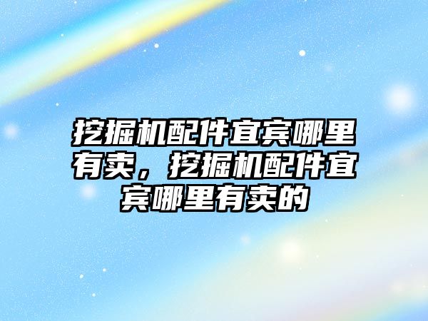 挖掘機配件宜賓哪里有賣，挖掘機配件宜賓哪里有賣的