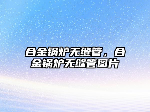 合金鍋爐無縫管，合金鍋爐無縫管圖片