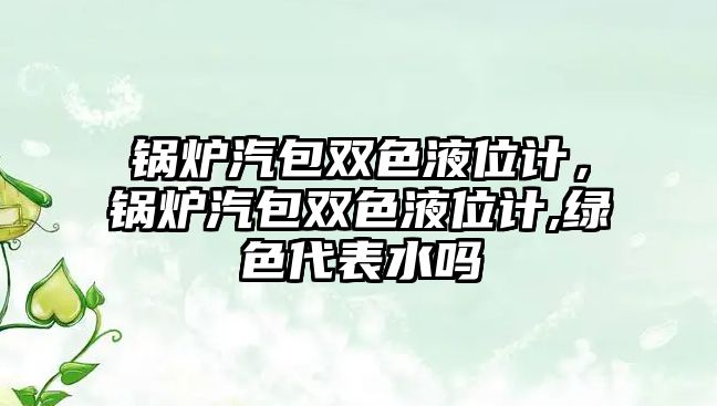 鍋爐汽包雙色液位計，鍋爐汽包雙色液位計,綠色代表水嗎