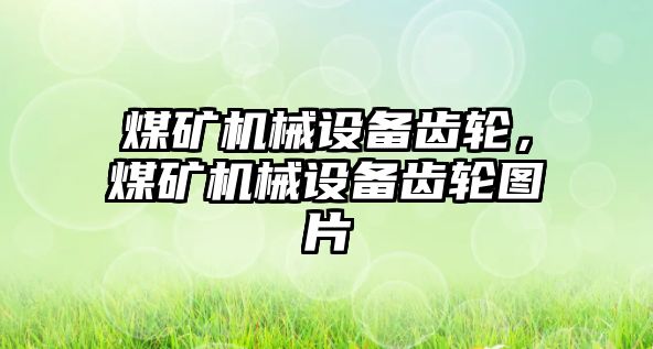 煤礦機械設備齒輪，煤礦機械設備齒輪圖片