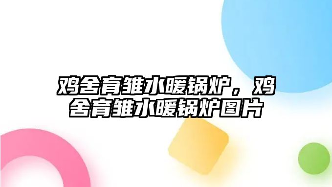 雞舍育雛水暖鍋爐，雞舍育雛水暖鍋爐圖片