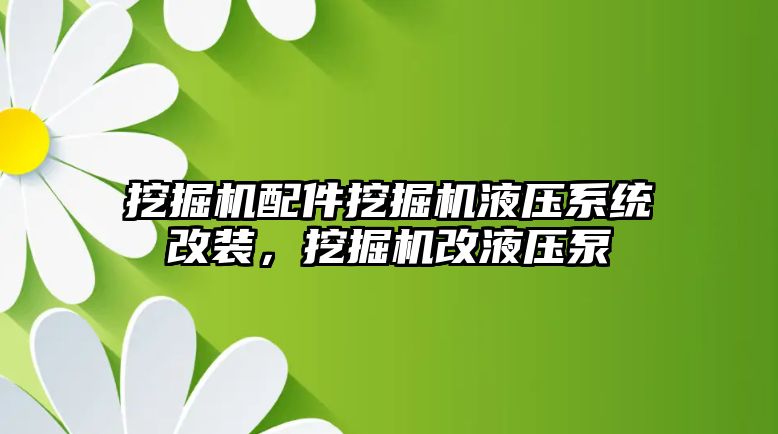 挖掘機配件挖掘機液壓系統(tǒng)改裝，挖掘機改液壓泵