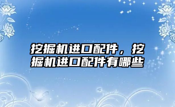 挖掘機進(jìn)口配件，挖掘機進(jìn)口配件有哪些