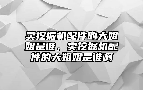 賣挖掘機(jī)配件的大姐姐是誰，賣挖掘機(jī)配件的大姐姐是誰啊