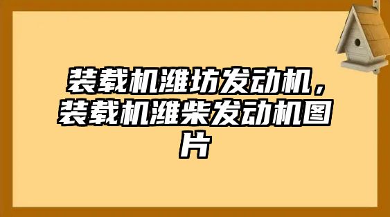 裝載機(jī)濰坊發(fā)動(dòng)機(jī)，裝載機(jī)濰柴發(fā)動(dòng)機(jī)圖片