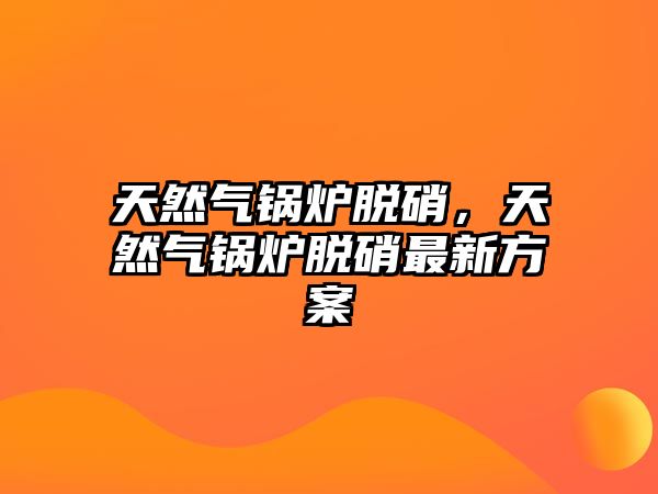 天然氣鍋爐脫硝，天然氣鍋爐脫硝最新方案