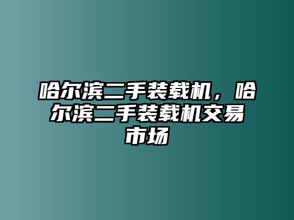 哈爾濱二手裝載機(jī)，哈爾濱二手裝載機(jī)交易市場(chǎng)