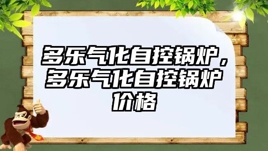 多樂氣化自控鍋爐，多樂氣化自控鍋爐價(jià)格