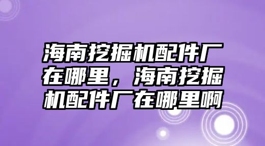 海南挖掘機配件廠在哪里，海南挖掘機配件廠在哪里啊