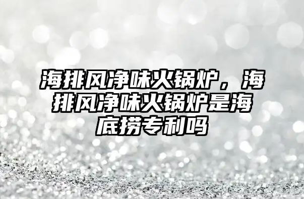 海排風凈味火鍋爐，海排風凈味火鍋爐是海底撈專利嗎