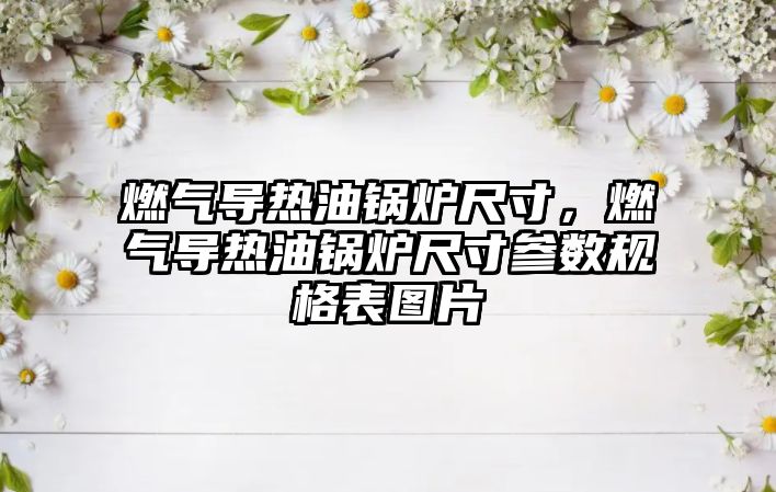 燃?xì)鈱?dǎo)熱油鍋爐尺寸，燃?xì)鈱?dǎo)熱油鍋爐尺寸參數(shù)規(guī)格表圖片