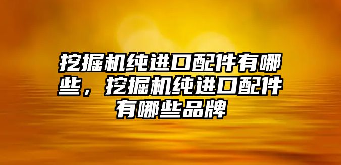 挖掘機純進口配件有哪些，挖掘機純進口配件有哪些品牌