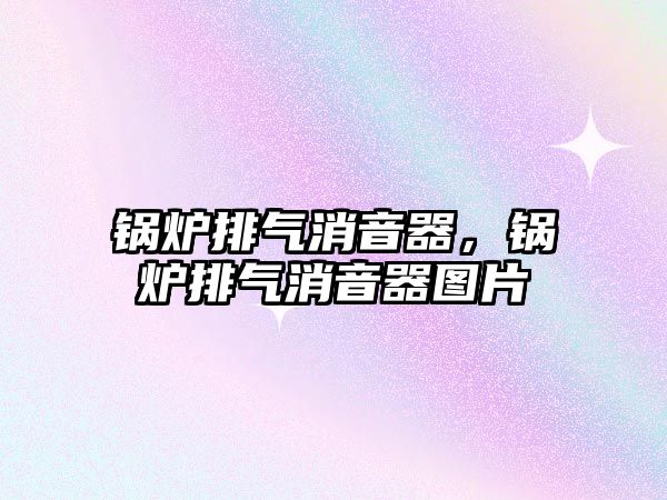 鍋爐排氣消音器，鍋爐排氣消音器圖片